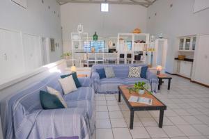 a living room with two blue couches and a table at Kuda Breeze in St Lucia