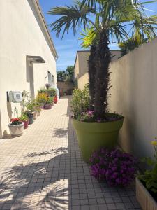 a plant in a green pot on a sidewalk with flowers at Chez-Sonia chambre 1 in Rosny-sous-Bois