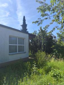 a house with a window in a field of grass at Gästehaus Café Daheim - Self Check-in in Buoch +1 photo