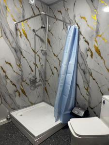 a bathroom with a shower and a toilet at Terrasa Solar Kutaisi in Kutaisi