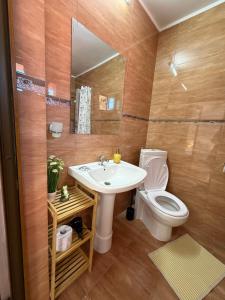 a bathroom with a sink and a toilet at Casa Cristian Techirghiol in Techirghiol +40 photos