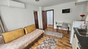 a living room with a couch and a sink at Dermendzhiev Apartments Melnik in Melnik