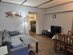 a living room with a couch and a television at Apartamenty u Bodzia in Stronie Śląskie