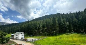 a white house on a hill with a forest at Samoon Guest House in Karnāl