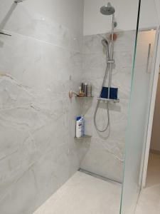 a shower with a glass door in a bathroom at Chambre des Iris in Graveson