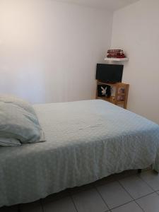 a bedroom with a bed and a tv on a table at Chambre des Iris in Graveson +2 photos