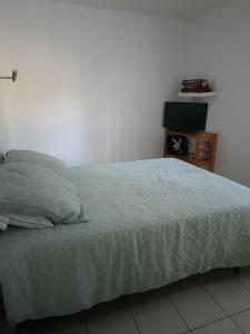 a bedroom with a bed and a tv on a table at Chambre des Iris in Graveson
