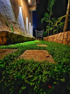 a garden at night with a chair and lights at The Red Loft Mihinthale in Anuradhapura