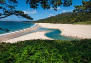 a beach with green plants and the ocean at Casa Cal da Rosins in Muxia