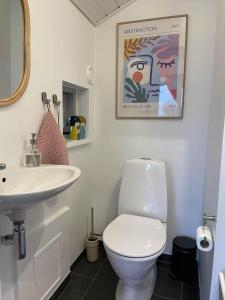 a bathroom with a white toilet and a sink at 30154-Odder-Pouli-Nielsensvej-99 in Odder +37 photos