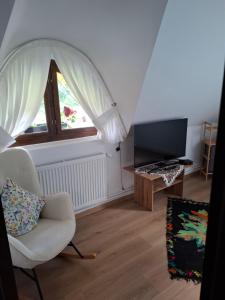 a living room with a chair and a television at Casa cu Poveste in Dorna Arini