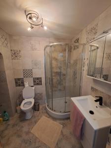 a bathroom with a shower and a toilet and a sink at Vila Galant in Konice +20 photos