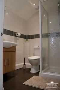 a bathroom with a toilet and a sink and a shower at The Kings Arms Hotel, Lostwithiel in Lostwithiel