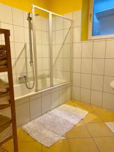 a bathroom with a shower and a white rug at Apartment with Terrace & Garden View in Zwiesel