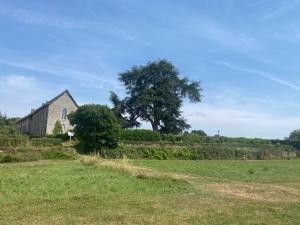an old barn in a field next to a tree at Hôtellerie Abbaye Port du Salut in Entrammes