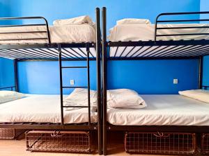 two bunk beds in a room with a blue wall at Let's Rock Party Hostel! Age Limit From 18 until 40! in Krakow