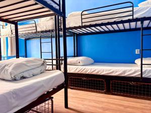 two bunk beds in a room with a blue wall at Let's Rock Party Hostel! Age Limit From 18 until 40! in Krakow +15 photos