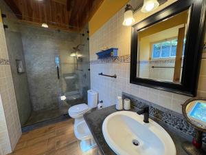 a bathroom with a sink and a toilet and a mirror at Casa da Terra Alta in Santo Amaro +17 photos