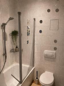 a bathroom with a shower with a toilet and a tub at Adam's Pension in Chemnitz +13 photos