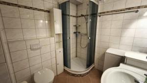 a bathroom with a shower and a toilet and a sink at HochDrei - Hahnenklee in Goslar