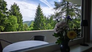 a table and a vase with flowers on a balcony at HochDrei - Hahnenklee in Goslar