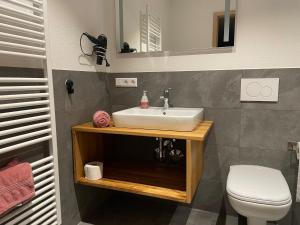 a bathroom with a sink and a toilet at Apartment Rotmilan in Vogtsburg