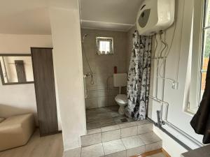 a bathroom with a shower and a toilet in it at István in Sîngeorgiu de Pădure