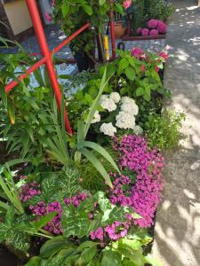 a garden with pink and purple flowers and plants at Kallithea in 2 Mai