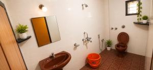 a bathroom with a toilet and a sink and a mirror at Samhen guest house in Majorda +10 photos