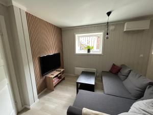 a living room with a couch and a tv at Central apartment - Free parking and Wi-Fi in Lillehammer