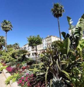 a garden with palm trees and flowers in front of a building at Chambres d'hôtes Le Regent in Hyères
