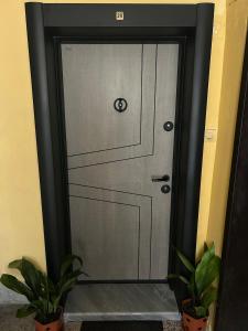 a gray door with two potted plants in front of it at Pavels Cozy Nook in Smolyan +2 photos