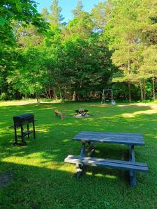 a picnic table and a bench in a park at Mežmaļi in Jūrkalne