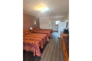 Voodi või voodid majutusasutuse Skyways Motel Muskoka Gravenhurst ON 11 toas
