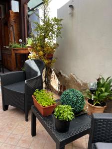 a table with potted plants on it next to a chair at Cuore Selargius in Selargius