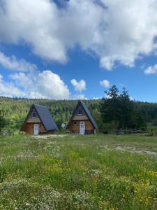two wooden cabins in a field with flowers at Mountain Paradise Cabins in Žabljak