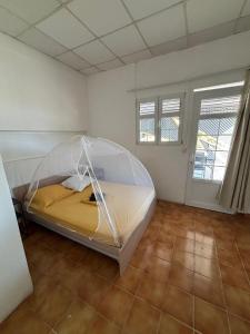 a bedroom with a bed with a mosquito net at Tamaly's Lodges in Basse-Terre