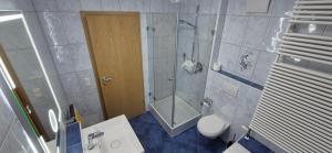 a bathroom with a shower and a toilet and a sink at Traumblick in Kempten +11 photos