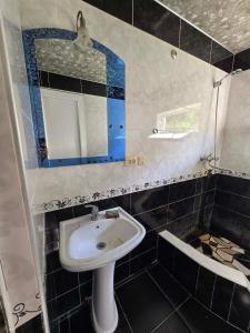 a bathroom with a sink and a mirror at Nakra Tower GuestHouse in Mestia