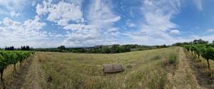 a bench sitting in the middle of a field at van domloc in Carcassonne +2 photos