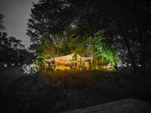 a yellow tent sitting in a field at night at van domloc in Carcassonne