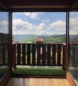 a window view of a mountain view from a house at Szyszka & Igiełka in Rycerka Górna
