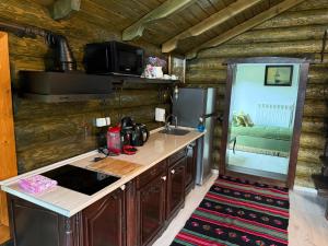 a kitchen with a counter top and a refrigerator at Cabana Vadim in Turda