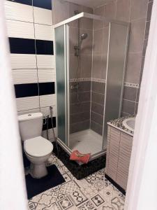 a bathroom with a shower and a toilet and a sink at Maison SYD saint-Junien in Saint-Junien +21 photos