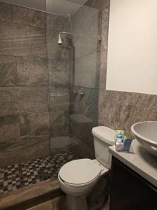 a bathroom with a toilet and a shower and a sink at Hotel y Suites Panda in San Luis Río Colorado