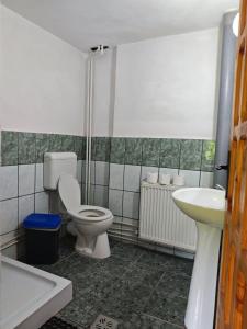 a bathroom with a toilet and a sink at 14 Scaune Casoca Tudose in Caşoca