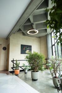 a lobby with a bunch of potted plants at Hotel Boutique Obelisco in Medellín