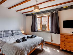 a bedroom with a bed and a tv and a window at 2 Bed in Dereham oc-92392 in Whissonsett