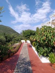 a garden with a brick pathway with plants at Tesoro of Ithaca in Stavros