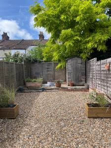 a backyard with potted plants and a fence at Mansfield House in Norwich